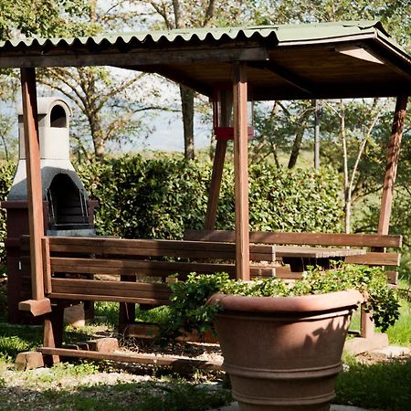 Agriturismo Fattoria Rozzalupi Черрето-Гвиди Экстерьер фото