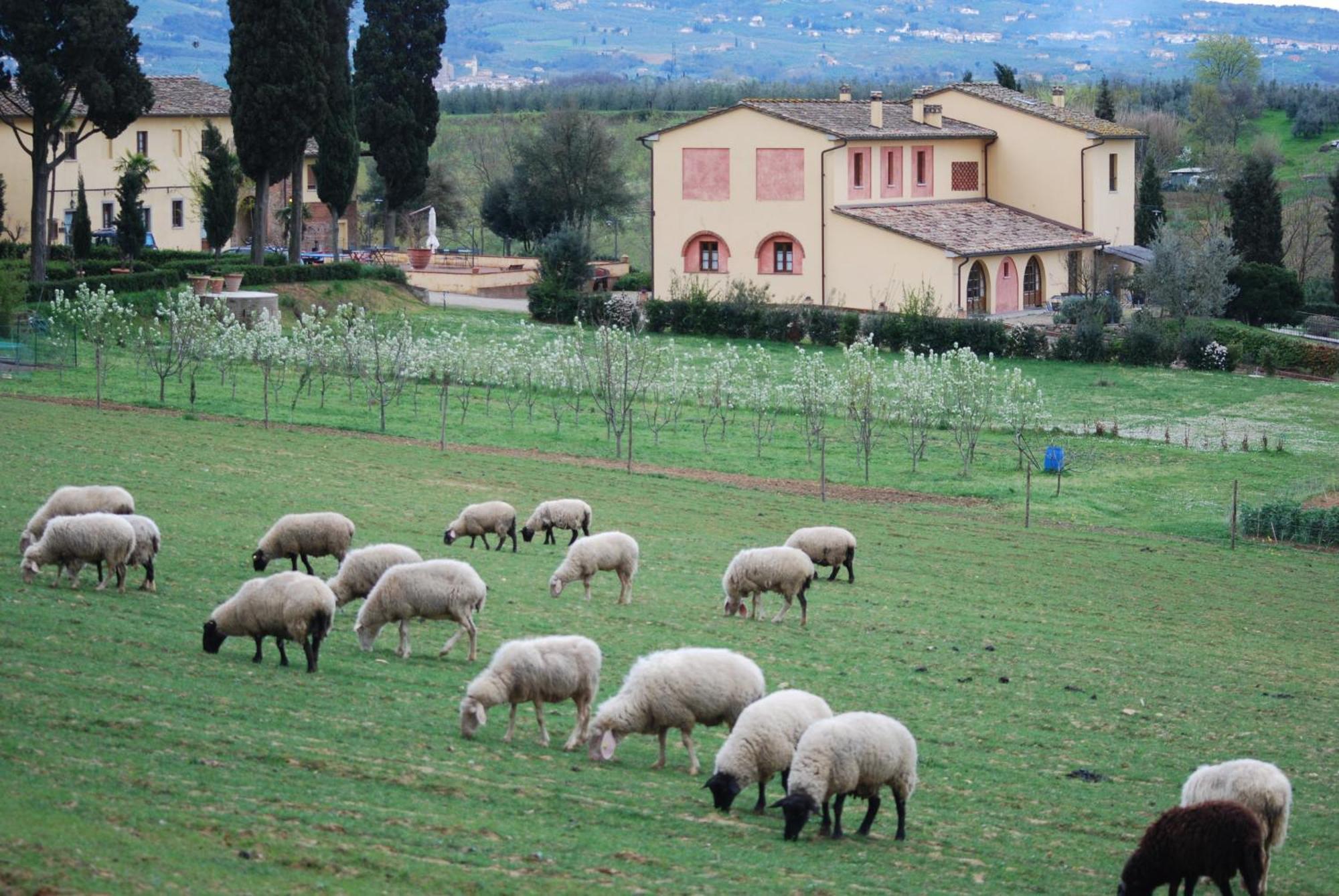 Agriturismo Fattoria Rozzalupi Черрето-Гвиди Экстерьер фото